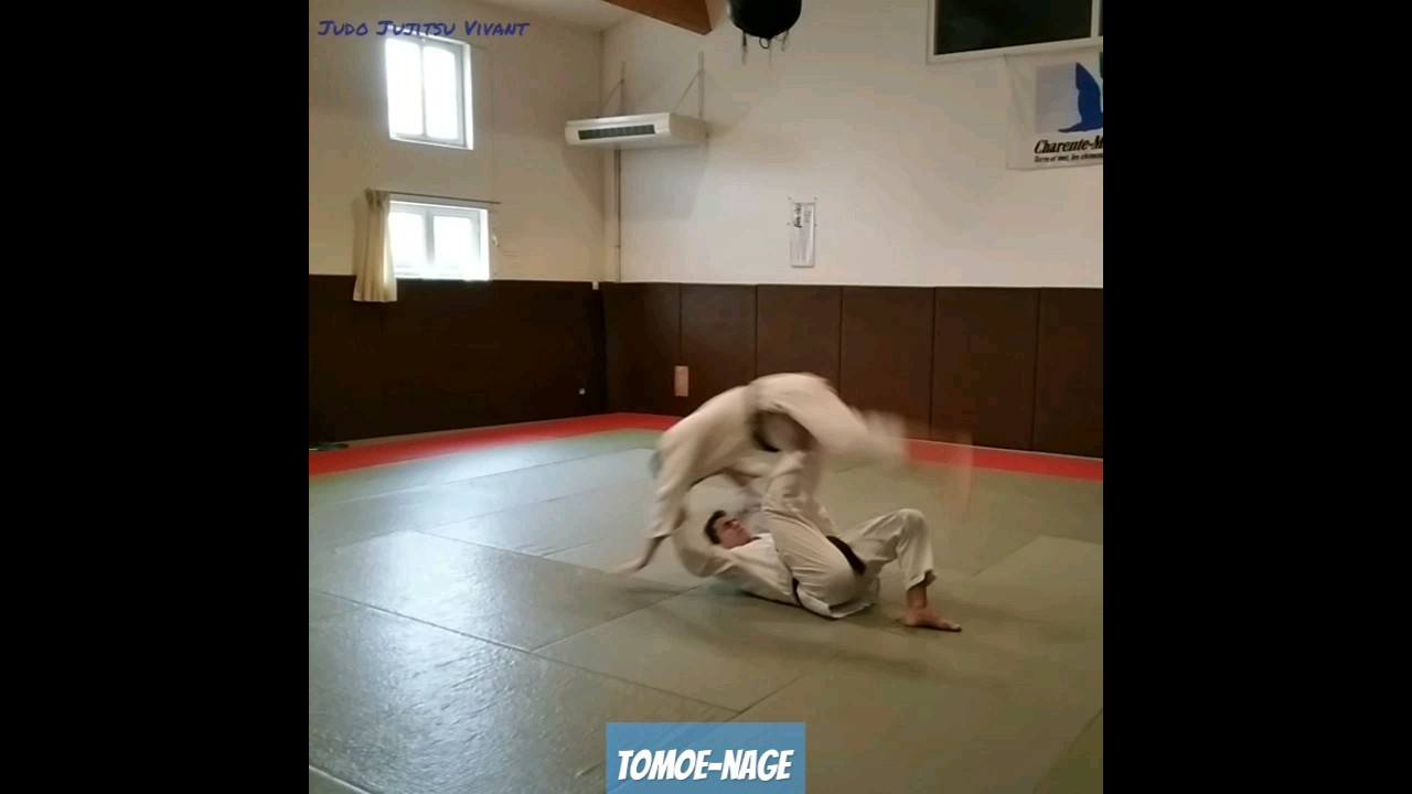 Comment faire Tomoe-nage pour l'UV2 technique du 1er DAN Judo Jujitsu #judo