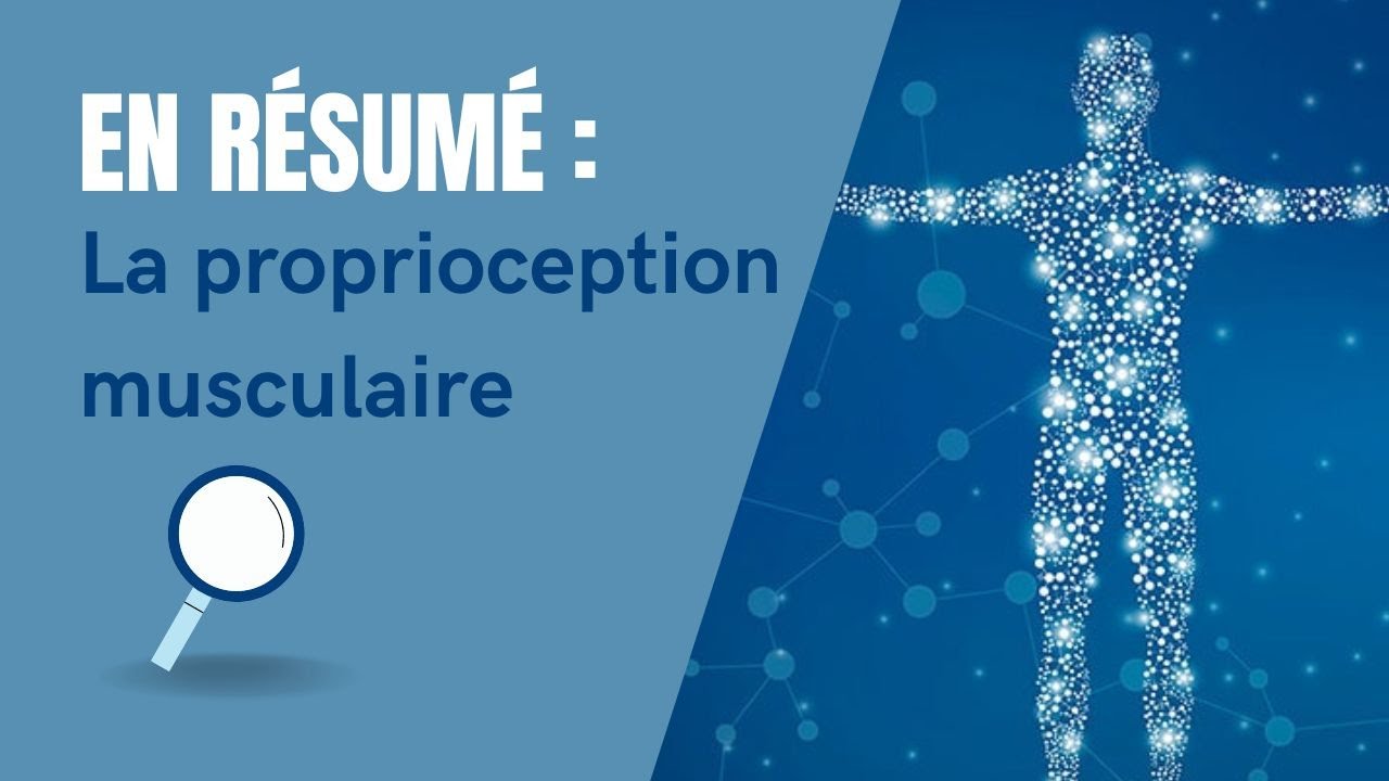 Qu'est-ce que la proprioception musculaire ? - LNC