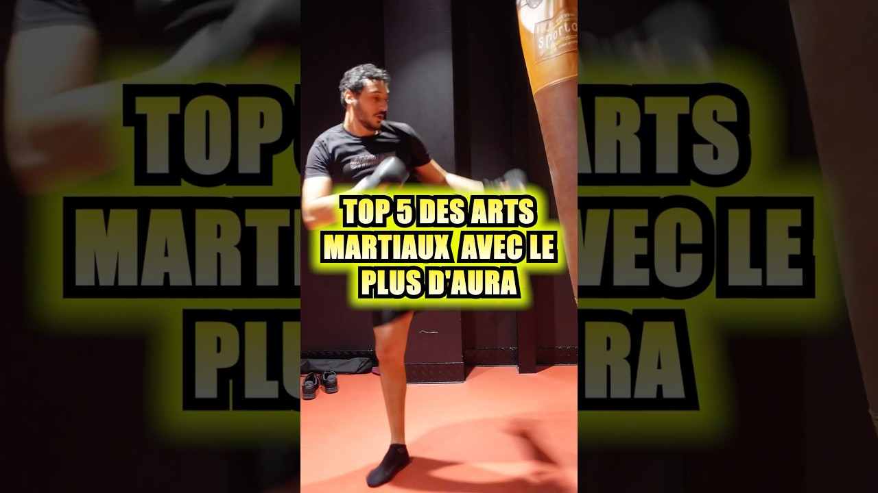 Top 5 des arts martiaux avec le plus d’aura #artsmartiaux #sportdecombat #mma #muaythai