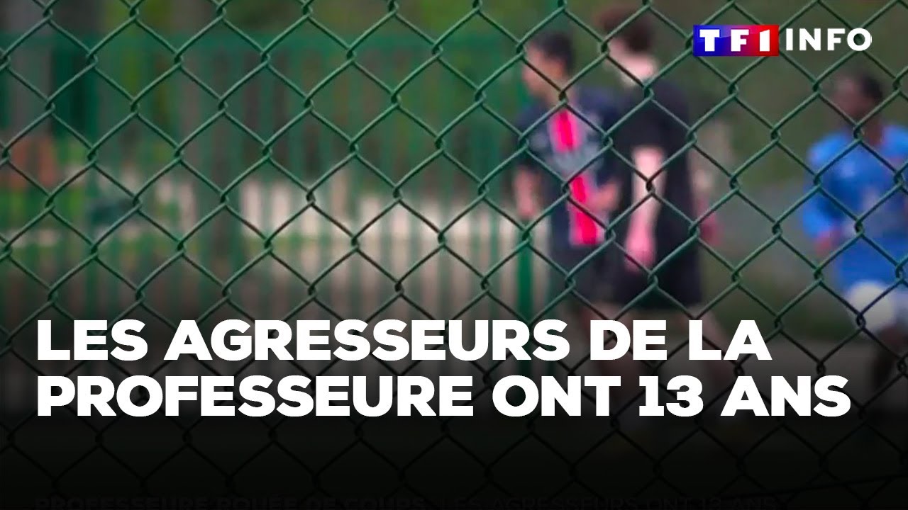 Professeure rouée de coups : les agresseurs ont 13 ans｜TF1 INFO