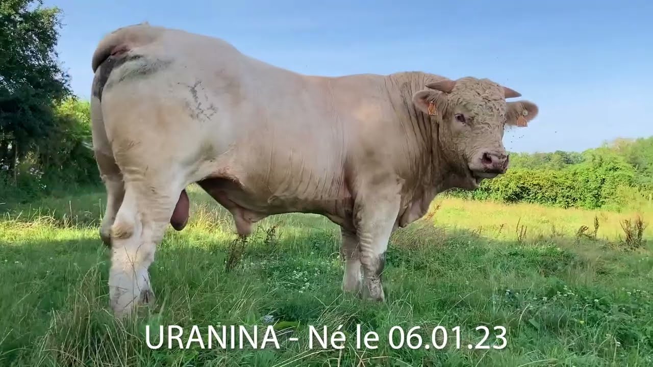 JCA 2024 - GAEC LECHENAULT FRERES